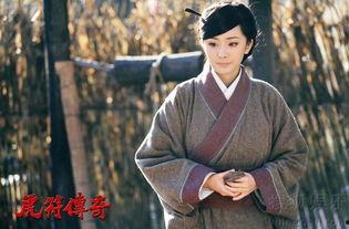 虎符传奇演员表,众星云集，演绎战国风云